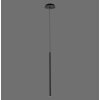 Paul Neuhaus FLUTE Pendelleuchte LED Schwarz, 1-flammig
