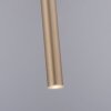 Paul Neuhaus FLUTE Pendelleuchte LED Gold, 1-flammig