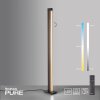Paul Neuhaus PURE-LINES Stehleuchte LED Naturfarben, 1-flammig, Fernbedienung