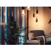 Philips Hue E27 LED 7 Watt 2100 Kelvin 550 Lumen