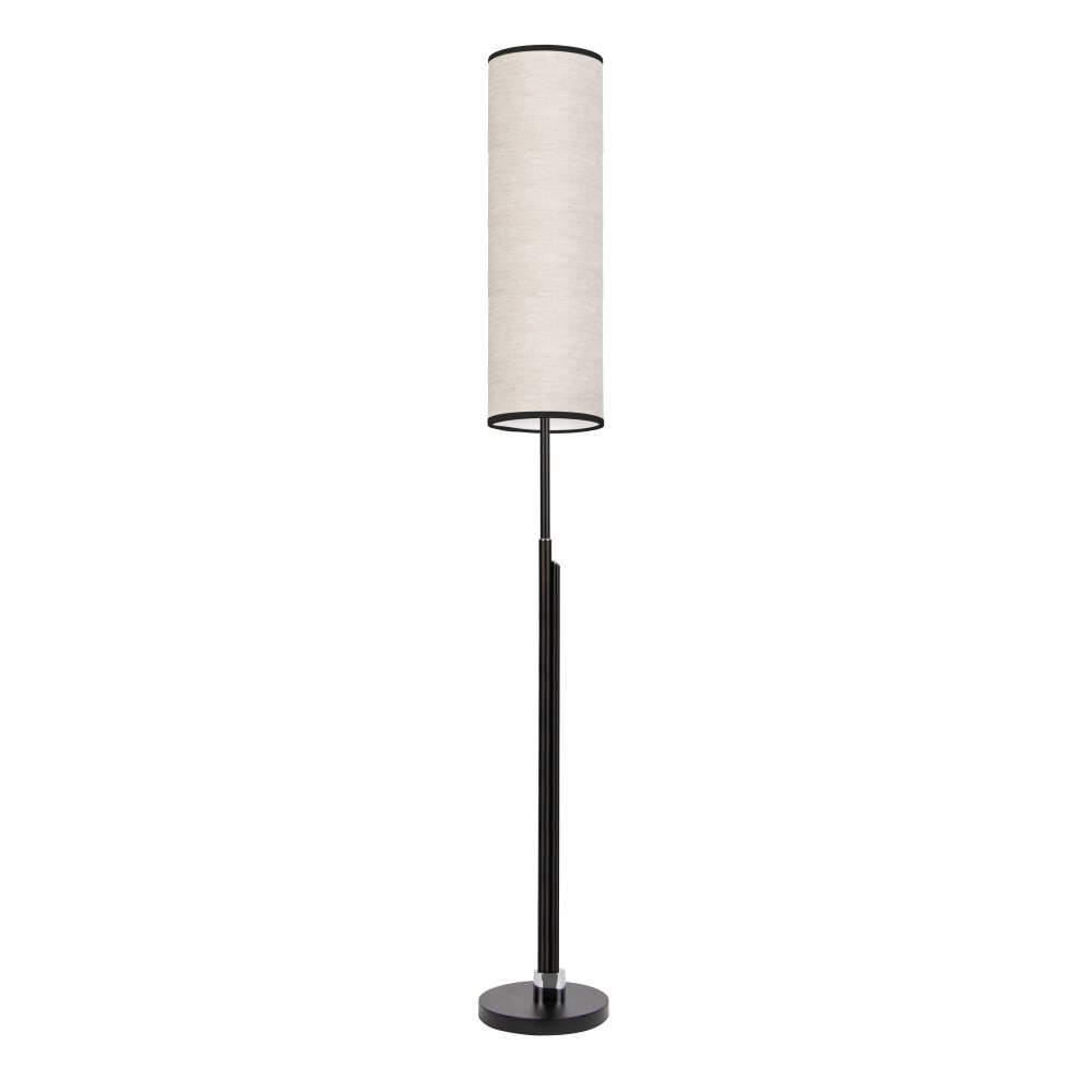Coquimbito Stehleuchte LED Schwarz, 2-flammig main product photo