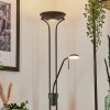 Rom Stehleuchte LED Schwarz, 2-flammig