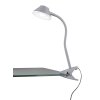 Reality BERRY Klemmleuchte LED Titan, 1-flammig