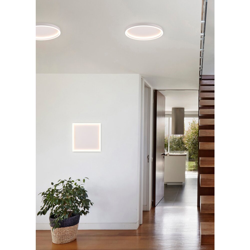 Reality Rotonda Deckenleuchte LED Weiß, 1-flammig main product photo