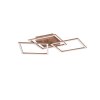 Reality Trail Deckenleuchte LED Braun, 1-flammig