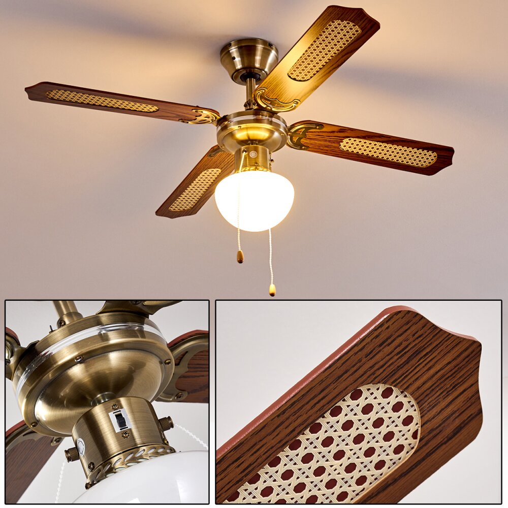 Morea Deckenventilator Altmessing, Holz dunkel, 1-flammig main product photo