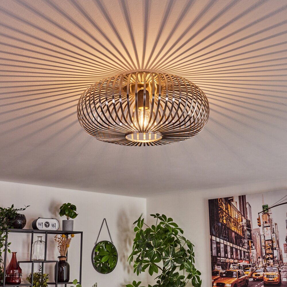 Oravi Deckenleuchte Silber, 1-flammig main product photo