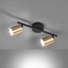 Fischer & Honsel Vano Deckenleuchte LED Schwarz, 2-flammig