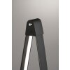 Fischer & Honsel Fenga Stehleuchte LED Schwarz, 1-flammig