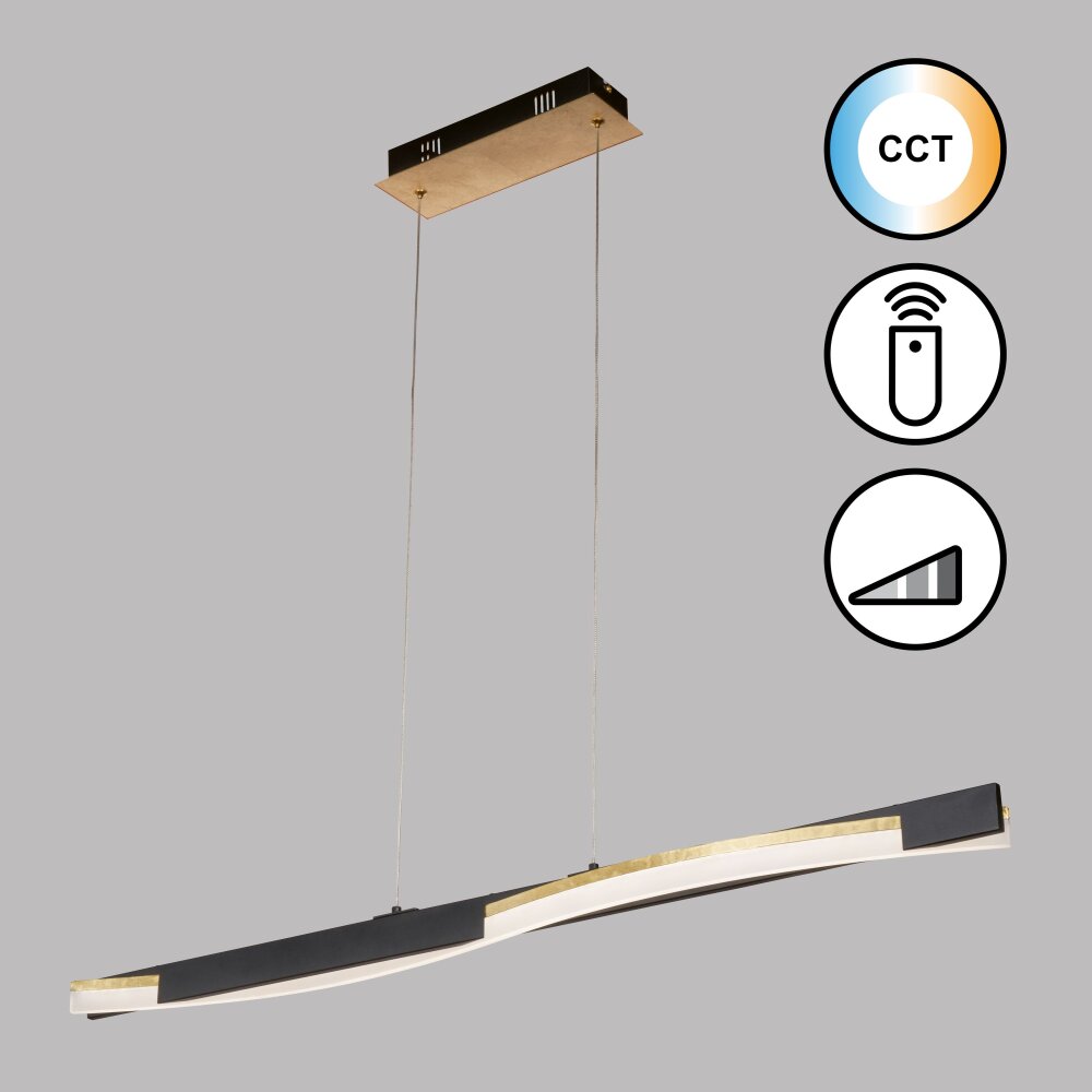Fischer & Honsel Bridge Pendelleuchte LED Schwarz, 1-flammig, Fernbedienung main product photo