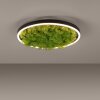 JUST LIGHT GERDA RITUS Deckenleuchte LED Schwarz, 1-flammig