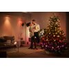 Philips Hue Festavia Lichterkette LED Schwarz, 500-flammig, Farbwechsler