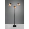 Trio Lumina Bogenlampe Schwarz, 3-flammig