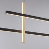 Paul Neuhaus BARRA Pendelleuchte LED Gold, Schwarz, 1-flammig