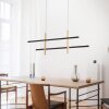 Paul Neuhaus BARRA Pendelleuchte LED Gold, Schwarz, 1-flammig