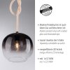 Paul Neuhaus LUMA Pendelleuchte Schwarz, 1-flammig