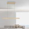 Paul Neuhaus PURE E-MOTION Pendelleuchte LED Gold, 1-flammig, Fernbedienung Paul Neuhaus PURE E-MOTION Pendelleuchte LED Gold, 1-flammig, Fernbedienung