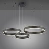 Paul Neuhaus SCULLI Pendelleuchte LED Schwarz, 2-flammig