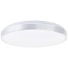 Brilliant Livius Deckenleuchte LED Silber, 1-flammig, Fernbedienung