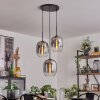 Apedo Hängeleuchte Glas 20cm Klar, Rauchfarben, 3-flammig