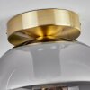 Apedo Deckenleuchte Glas 20 cm Messing, 1-flammig