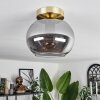 Apedo Deckenleuchte Glas 20 cm Messing, 1-flammig