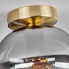 Apedo Deckenleuchte Glas 20 cm Messing, 1-flammig