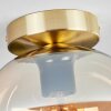 Apedo Deckenleuchte Glas 20 cm Messing, 1-flammig