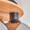 Koyoto Deckenleuchte Glas 20 cm Naturfarben, Schwarz, 6-flammig