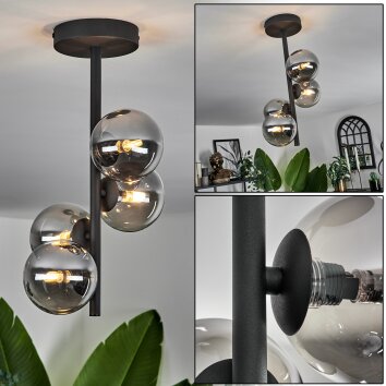 Chehalis Deckenleuchte Glas 10 cm Rauchfarben, 4-flammig Chehalis Deckenleuchte Glas 10 cm Rauchfarben, 4-flammig