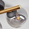 Chehalis Deckenleuchte Glas 10 cm Gold, Schwarz, 3-flammig Chehalis Deckenleuchte Glas 10 cm Gold, Schwarz, 3-flammig