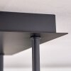 Chehalis Deckenleuchte Glas 12 cm Gold, Schwarz, 5-flammig