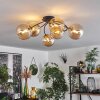Chehalis Deckenleuchte Glas 15 cm Gold, Schwarz, 6-flammig