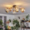 Chehalis Deckenleuchte Glas 15 cm Gold, Schwarz, 6-flammig