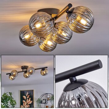 Chehalis Deckenleuchte Glas 10 cm Rauchfarben, 5-flammig