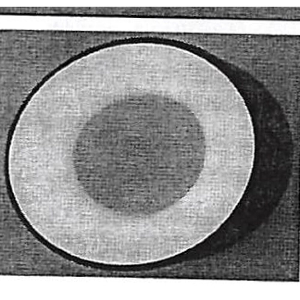 Steinhauer Ringlede Deckenleuchte Weiß, 1-flammig main product photo