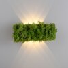 Leuchten Direkt GREEN CARLO Wandleuchte LED Silber, 6-flammig