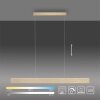 Paul Neuhaus NANIA Pendelleuchte LED Gold, 1-flammig