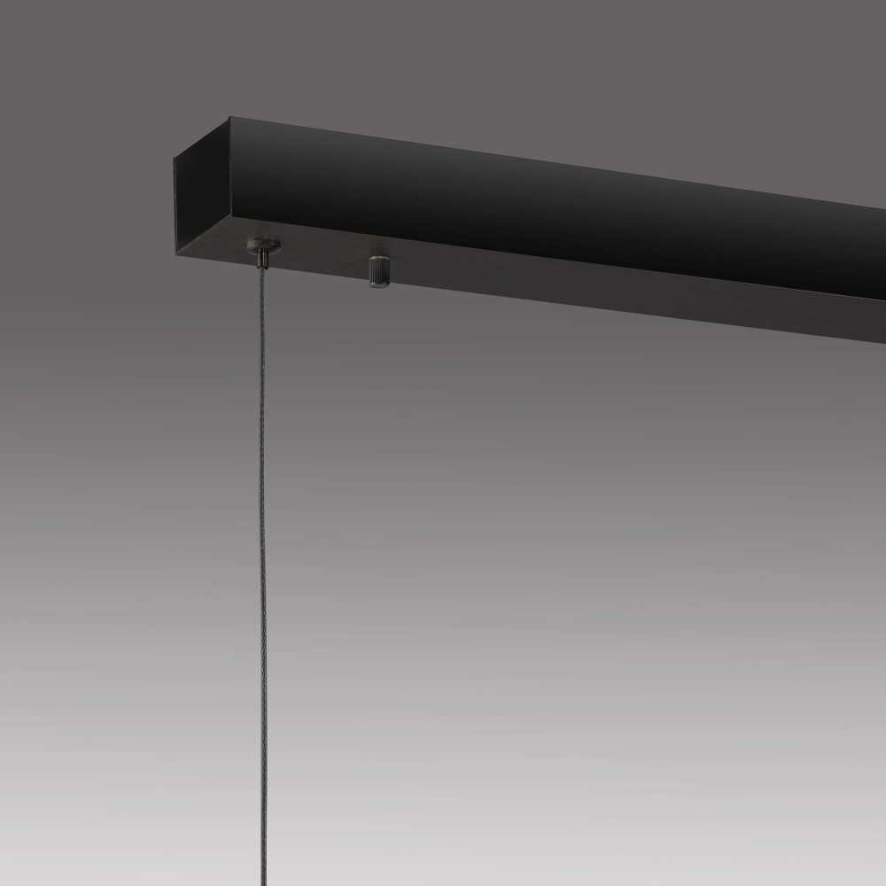 Paul Neuhaus NANIA Pendelleuchte LED Holzoptik, Schwarz, 1-flammig
