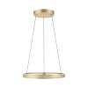 Paul Neuhaus PURE E-LOOP Pendelleuchte LED Gold, 2-flammig, Fernbedienung