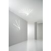 Lutec SHANGHAI Deckenleuchte LED Weiß, 3-flammig