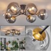 Chehalis Deckenleuchte Glas 15 cm Gold, Schwarz, 6-flammig