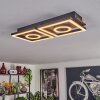 Taboneira Deckenleuchte LED Dunkelbraun, Schwarz, 2-flammig