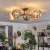 Chehalis Deckenleuchte Glas 15 cm Gold, Schwarz, 6-flammig