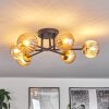 Chehalis Deckenleuchte Glas 15 cm Gold, Schwarz, 6-flammig