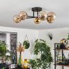 Chehalis Deckenleuchte Glas 15 cm Gold, Schwarz, 6-flammig