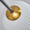 Chehalis Deckenleuchte Glas 15 cm Gold, Schwarz, 6-flammig