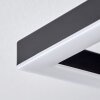 Taboneira Deckenleuchte LED Dunkelbraun, Schwarz, 3-flammig