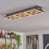 Taboneira Deckenleuchte LED Dunkelbraun, Schwarz, 3-flammig