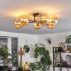 Chehalis Deckenleuchte Glas 15 cm Gold, Schwarz, 6-flammig